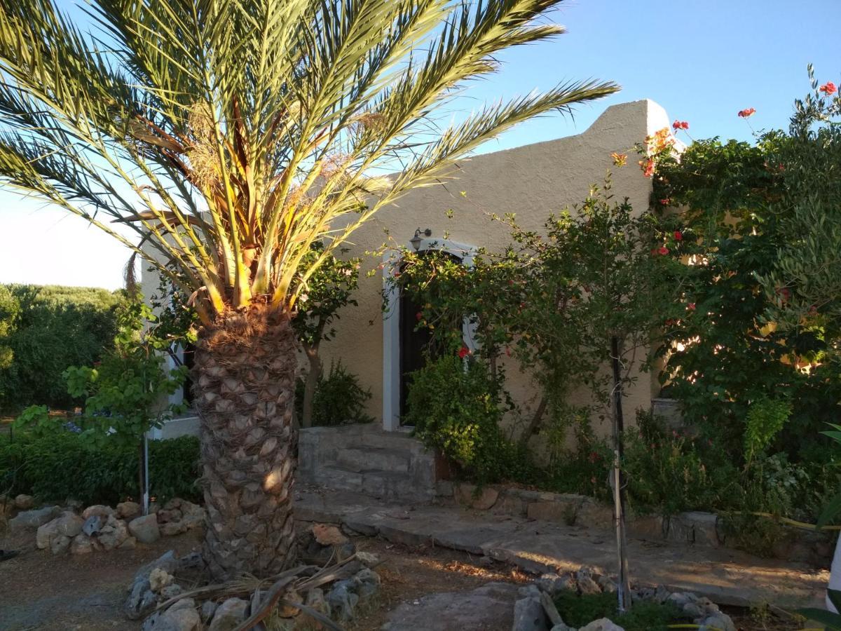 Porto Heli Apartments Palekastro Exterior photo