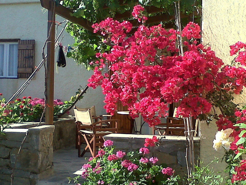 Porto Heli Apartments Palekastro Exterior photo